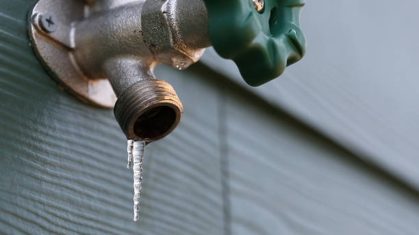 Best Commercial Plumbing Services  in Lakewood Park, FL